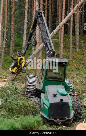 Macchina per la raccolta del legname abbattimento e lavorazione alberi di pino scozzese (Pinus sylvestris) in una piantagione forestale commerciale, Inverness-shire, Scozia Foto Stock