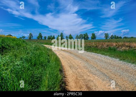 Una strada sterrata attraverso prati verdi con cieli azzurri e nuvole bianche nel paesaggio della campagna padana in provincia di Cuneo, con Foto Stock