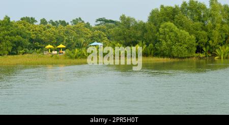 Bellezza 0f Sundarbon Sundorbon, vista naturale Foto Stock