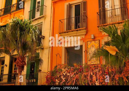 Case cittadine spagnole luminose e colorate nel centro storico di Malaga, Spagna Foto Stock