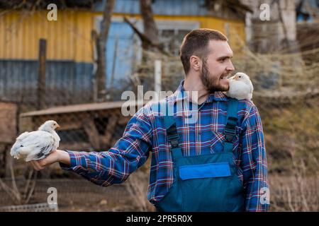 Divertente joker agricoltore di aspetto caucasico uomo, con una barba tiene in mano e sulla sua spalla un bianco nana pollame allevamento di pollo contro la b Foto Stock