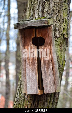 Abbandonato e distrutto birdhouse su un albero in parco. Foto Stock