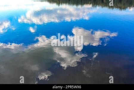 Germania settentrionale Stoteler ammira l'acqua blu del lago con riflessi nuvolosi. Foto Stock