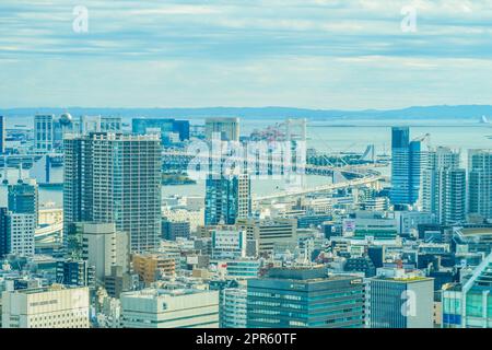 Skyline di Tokyo visto dall'Osservatorio della Torre di Tokyo Foto Stock