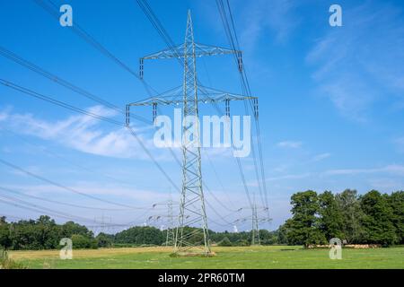 Linee elettriche con un pilone d'acciaio visto in Germania Foto Stock