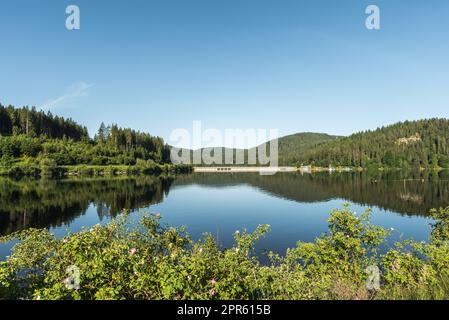 Muro diga a Schluchsee, Foresta Nera, Baden-Wuerttemberg, Germania Foto Stock