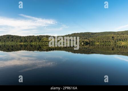 La mattina presto a Schluchsee nella Foresta Nera, Baden-Wuerttemberg, Germania Foto Stock