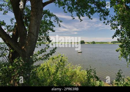 Fiume "Schlei" (lato sud) con barche a vela vicino a Sieseby (Thumby), Rendsburg-Eckernförde, Schleswig-Holstein, Germania Foto Stock