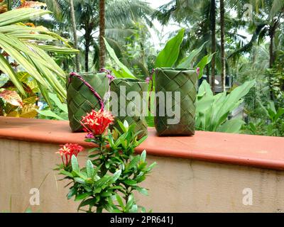 Un tradizionale vaso di fiori per il festival dell'onam Foto Stock