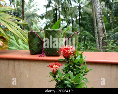 Un tradizionale vaso di fiori per il festival dell'onam Foto Stock