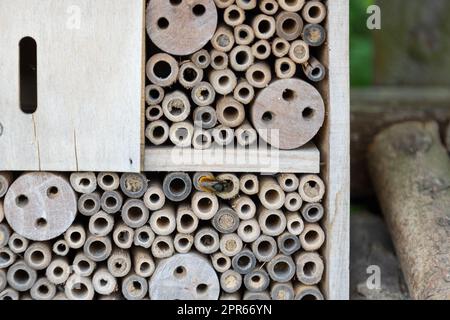 Un albergo per insetti per api, vespe e altri insetti in legno. Foto Stock