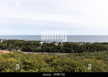 La vista dalla passeggiata in cima agli alberi verso il molo di Heringsdorf sull'isola di Usedom. Foto Stock