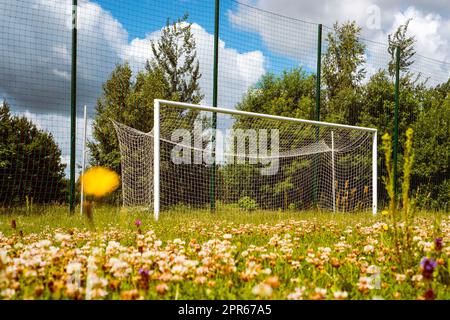 Erba intagliata sullo stadio di calcio con reti vuote Foto Stock