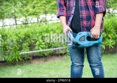 Giardiniere che tiene tagliasiepi elettrico per tagliare la cetop in giardino. Foto Stock