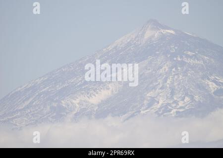 Monte Teide parzialmente coperto di neve. Foto Stock
