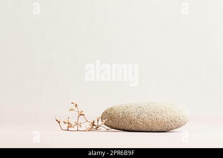 Fondo per prodotti cosmetici di colore beige naturale. Podio in pietra e fiore secco Foto Stock