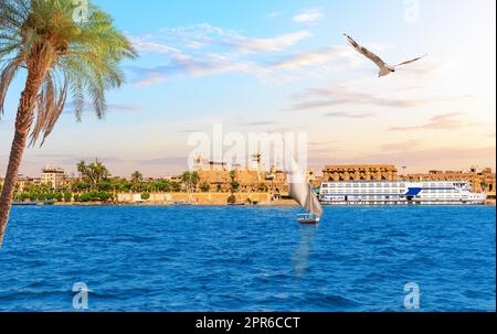 Tempio di Luxor sulla riva del Nilo dietro la palma, Alto Egitto Foto Stock
