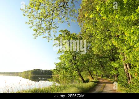 Paesaggio di primavera Foto Stock