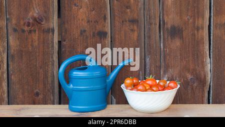 Raccogliete i pomodori rossi in un recipiente bianco accanto alla lattina blu Foto Stock