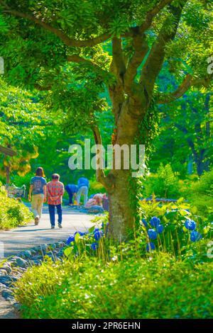 Broadley Green Road Park (città di Tachikawa) Foto Stock