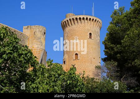 La prigione del Castello Bellver, una roccaforte medievale circolare costruita su una collina sopra Palma di Maiorca nelle Isole Baleari, Spagna - è stato utilizzato Foto Stock