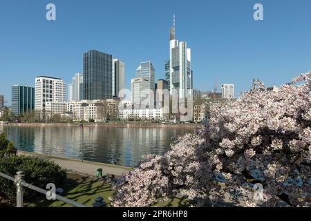 Skyline di Francoforte, Germania, in una giornata di sole Foto Stock