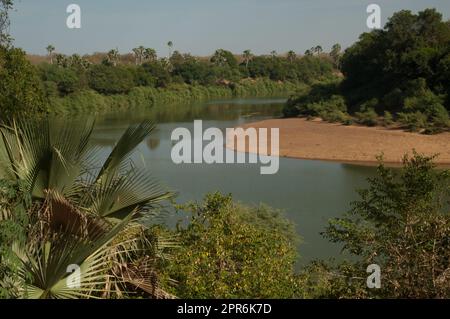 Fiume Gambia nel Parco Nazionale di Niokolo Koba. Foto Stock