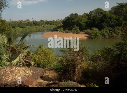 Fiume Gambia nel Parco Nazionale di Niokolo Koba. Foto Stock