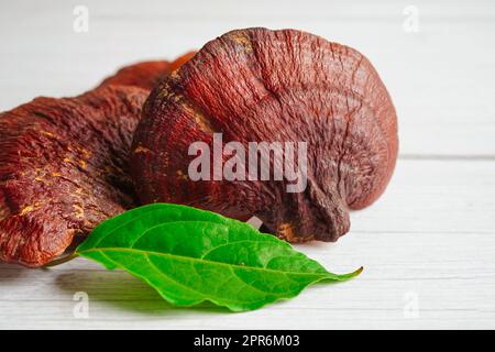 Lingzhi o Reishi funghi con capsule, alimenti biologici naturali sani. Foto Stock