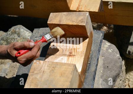 Mano di un operaio che oliatura una trave di legno con un pennello Foto Stock