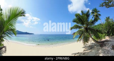 Seychelles, Mahe - Anse Gouvernment Foto Stock