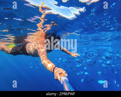 Fai snorkeling e nuota in acqua blu con la scuola di pesci coralli Caesio striata, Mar Rosso, Egitto Foto Stock