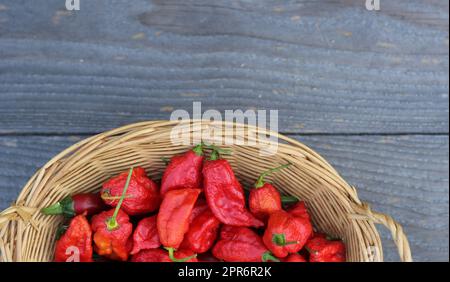 Cestino di peperoni ghost di Jolokia freschi di rifugio in campagna mercato agricolo Foto Stock