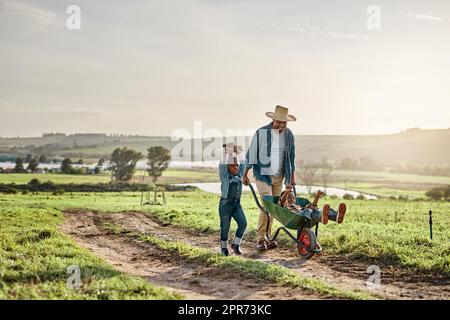 Risorgere e brillare, il suo tempo di raccolta. Colpo di un uomo maturo che lavora il suo adorabile figlio e figlia in una fattoria. Foto Stock