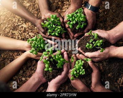 Il cambiamento deve iniziare da qualche parte. Scatto ritagliato di un gruppo di persone che tengono piante che crescono dal suolo. Foto Stock