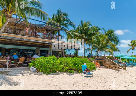 Ristorante fronte spiaggia e palme lungo Grace Bay a Turks e Caicos. Foto Stock