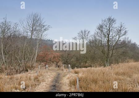 Una strada e un cancello attraverso una foresta asciutta con alti alberi senza foglie e prato marrone in autunno. Paesaggio tranquillo e panoramico con strada sterrata nel bosco che conduce a un luogo misterioso e appartato nella natura Foto Stock