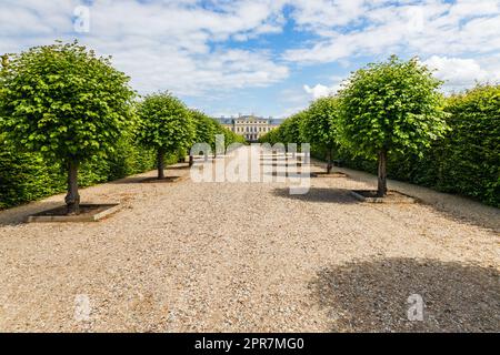 Sentieri nei pressi del palazzo Rundale in Lettonia Foto Stock