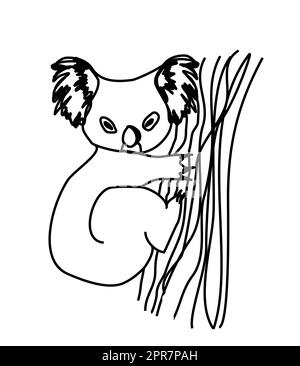 Il koala disegno animato. Foto Stock