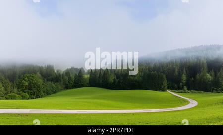 Wafts di nebbia nelle montagne dell'Austria Foto Stock