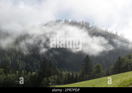 Wafts di nebbia nelle montagne dell'Austria Foto Stock