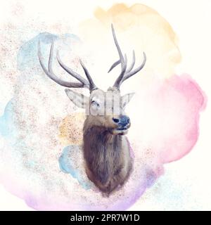Pittura digitale del cervo maschio. Illustrazione dell'acquerello Foto Stock