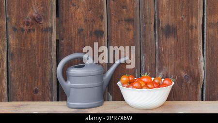 Raccogliete i pomodori rossi in un recipiente bianco accanto alla lattina grigia Foto Stock