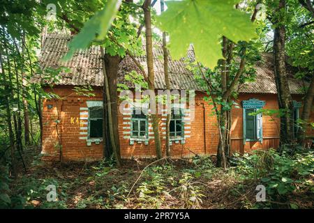 Bielorussia. Casa abbandonata ricoperta di alberi e vegetazione nella zona di reinsediamento di Chernobyl. Disastri catastrofici di Chornobyl. Casa fatiscente nel villaggio bielorusso. Interi villaggi devono essere smaltiti Foto Stock