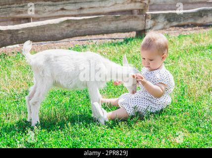 bel bambino in una sundress gioca con goatling in fattoria Foto Stock