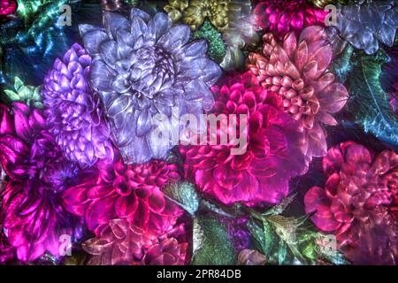 Illustrazione 3D di fiori primaverili con un campo di kirlian ad alta energia luminoso in diversi colori Foto Stock