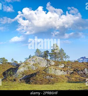 Muschio che ricopre massi di roccia in una remota campagna o prato in Norvegia. Paesaggio coperto di alghe in una tranquilla, tranquilla e tranquilla riserva naturale. Escursione ambientale con cielo blu con nuvole e spazio per copiare Foto Stock