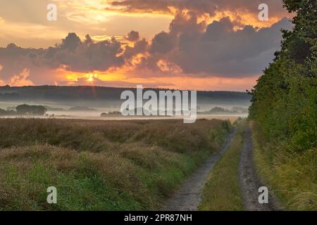 Vista panoramica di una strada sterrata in una campagna che conduce a una lussureggiante foresta verde e boschi in Germania. Viaggia verso campi e prati remoti. Scenario tranquillo con alberi, cespugli, arbusti, prati ed erba Foto Stock