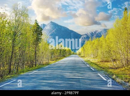 Idilliaca strada vuota circondata da alberi e boschi in estate. Strada deserta e panoramica o autostrada con uno splendido paesaggio in vacanza. Tranquillo e misterioso sentiero stradale per viaggiare in campagna Foto Stock