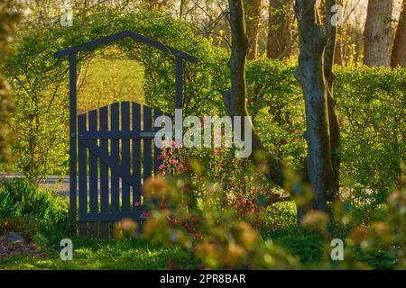Piccolo cancello in legno in campagna. Lussureggiante giardino verde all'ingresso di una casa privata nel bosco. Santuario o rifugio sicuro in un'area remota nella natura. Cortile con alberi, piante ed erba verde Foto Stock